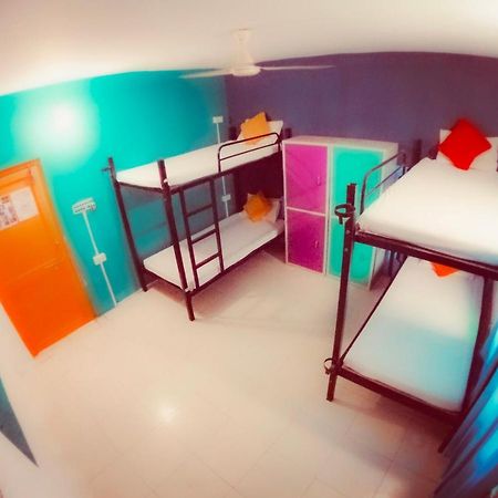 The Hostel Crawl Udaipur Extérieur photo