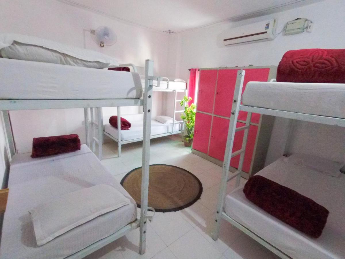 The Hostel Crawl Udaipur Extérieur photo