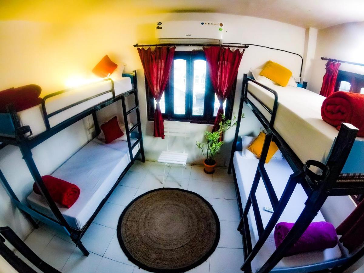 The Hostel Crawl Udaipur Extérieur photo