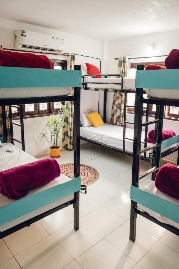 The Hostel Crawl Udaipur Extérieur photo